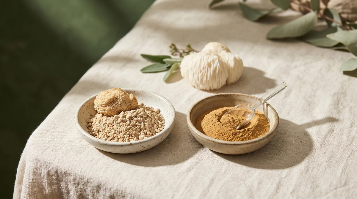 Coarse mushroom powder and fine extract powder in separate ceramic dishes.