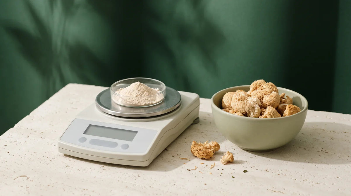 A laboratory scale and weighing dish beside dried mushroom pieces.